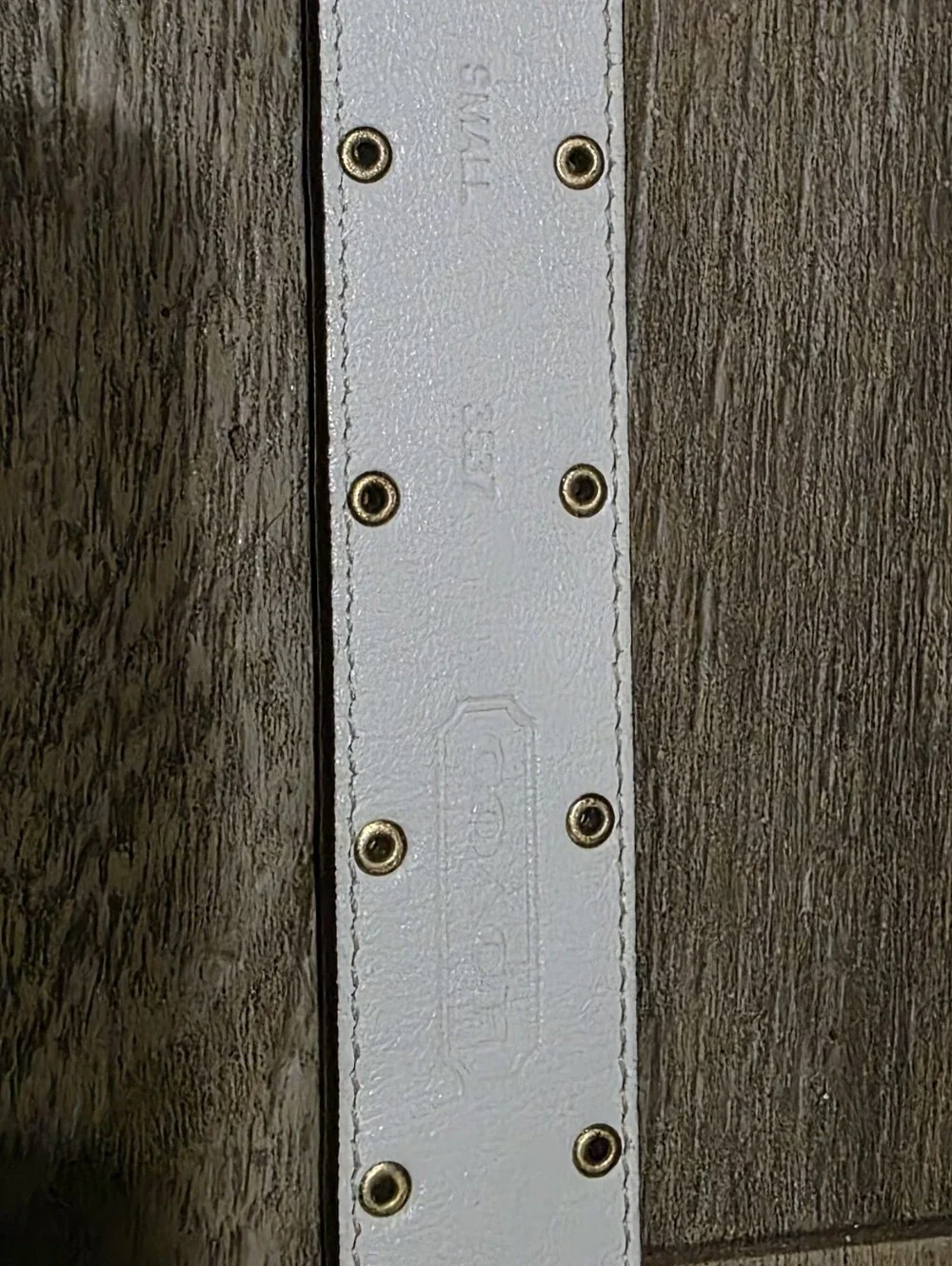 Coach Belt